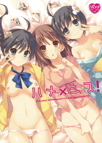 (C83) [TIES (Takei Ooki)] Hame x Sis | Fuck x Sis! (Bakemonogatari) [English] [Life4Kaoru] cover