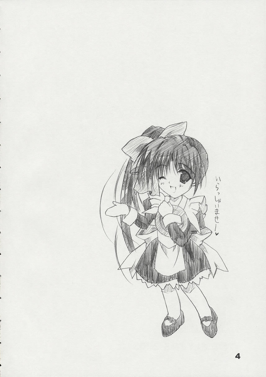 T2 page 3 full