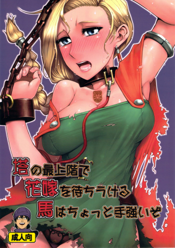 (C81) [A.S.G Group (Misonou)] Tou no Saijoukai de Hanayome o Machi Ukeru Uma wa Chotto Tegowai zo | The Horse Waiting with the Bride on the Top Floor of the Tower is Rather Tough (Dragon Quest V) [English] [LWB Collab] cover