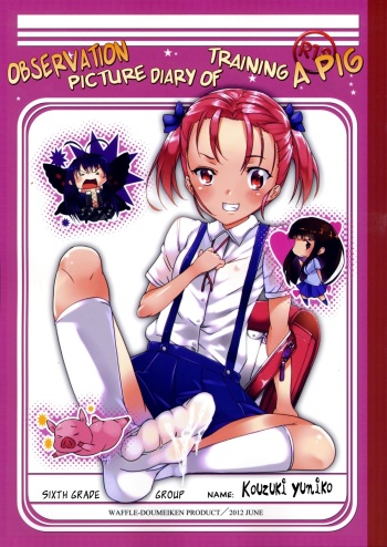 (SC56) [Waffle Doumeiken (Tanaka Decilitre)] Buta-san Choukyou Kansatsu Enikki | Observation Picture Diary of Training a Pig (Accel World) [English] [biribiri] cover