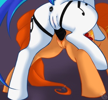 Pony ಠ_ಠ cover