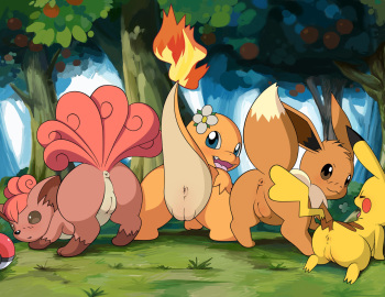 Pokeorgy cover
