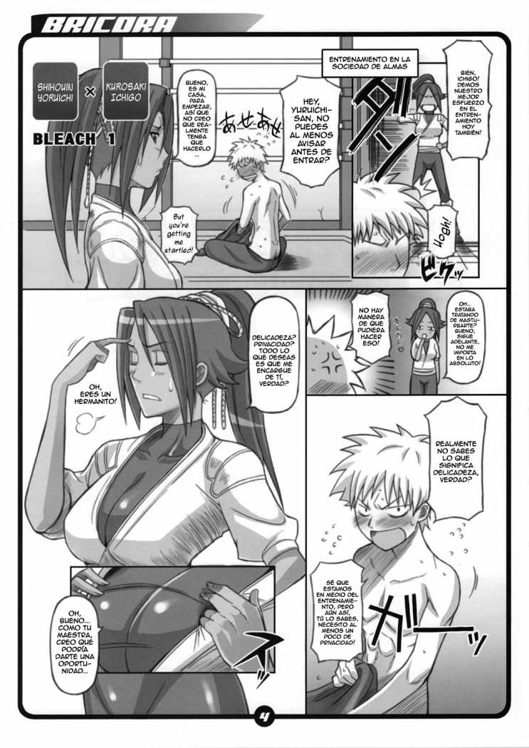 BRICOLA page 2 full