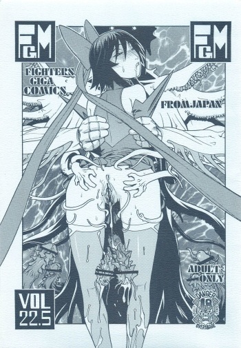 (C66) [From Japan (Aki Kyouma)] FIGHTERS GIGAMIX FGM Vol. 22.5 (Mahou Shoujo Ai, Silent Hill) cover