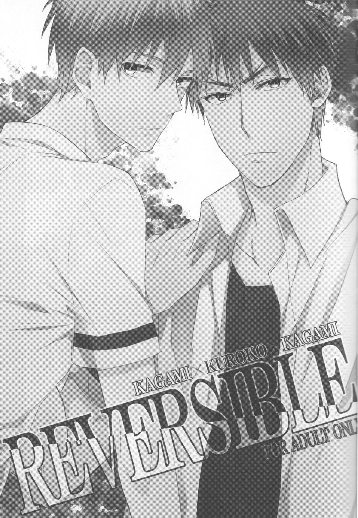 REVERSIBLE page 2 full