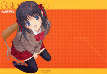 (C81) [Lily Lily Rose (Mibu Natsuki)] Sister Complex cover