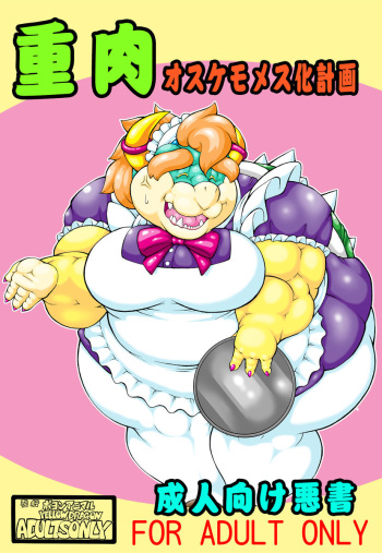 (C76) [Boyonanimaru (YELLOW DRAGON)] Juuniku Osukemo Mesuka Keikaku (Super Mario Brothers) cover