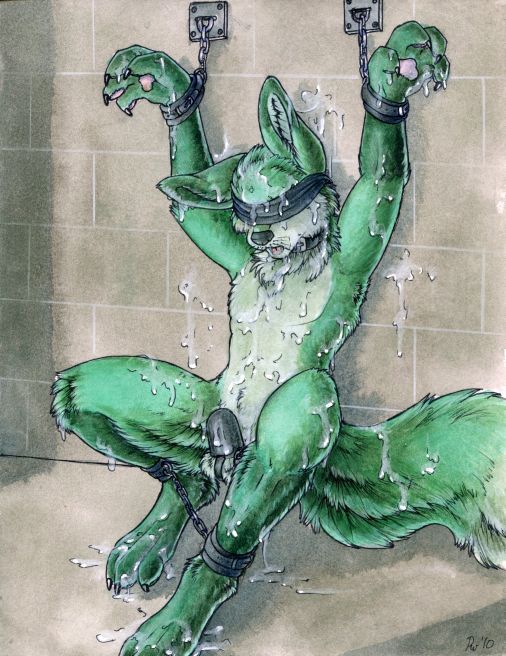 Ruaidri ´s furry Bondage pics page 10 full