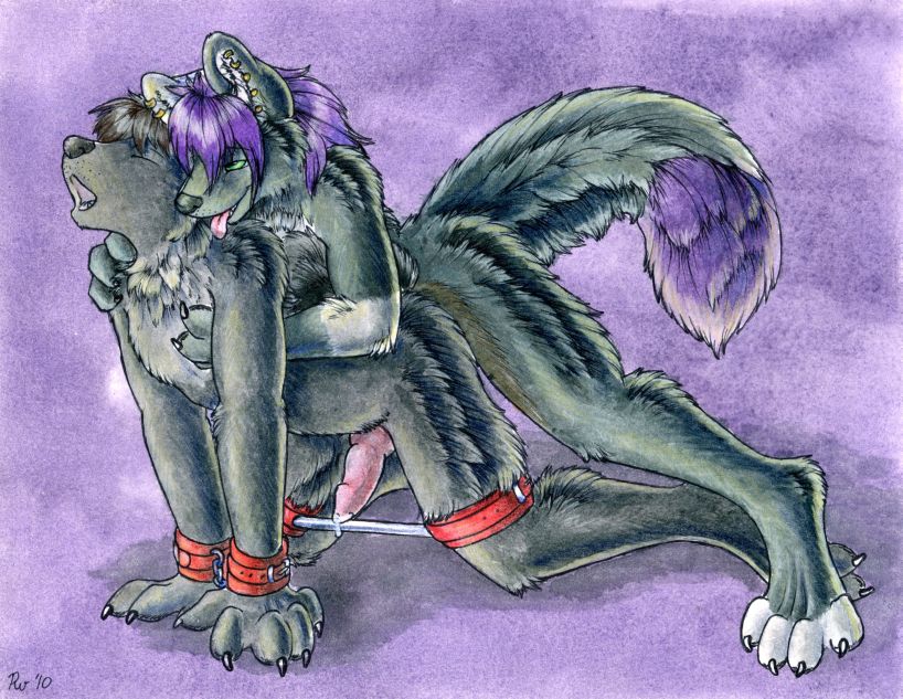 Ruaidri ´s furry Bondage pics page 11 full