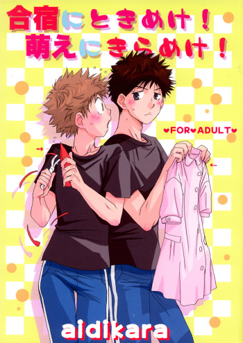 (C75) [Aidikara (ZAK)] Gasshuku ni Tokimeke! Moe ni Kirameke! (Ookiku Furikabutte) cover