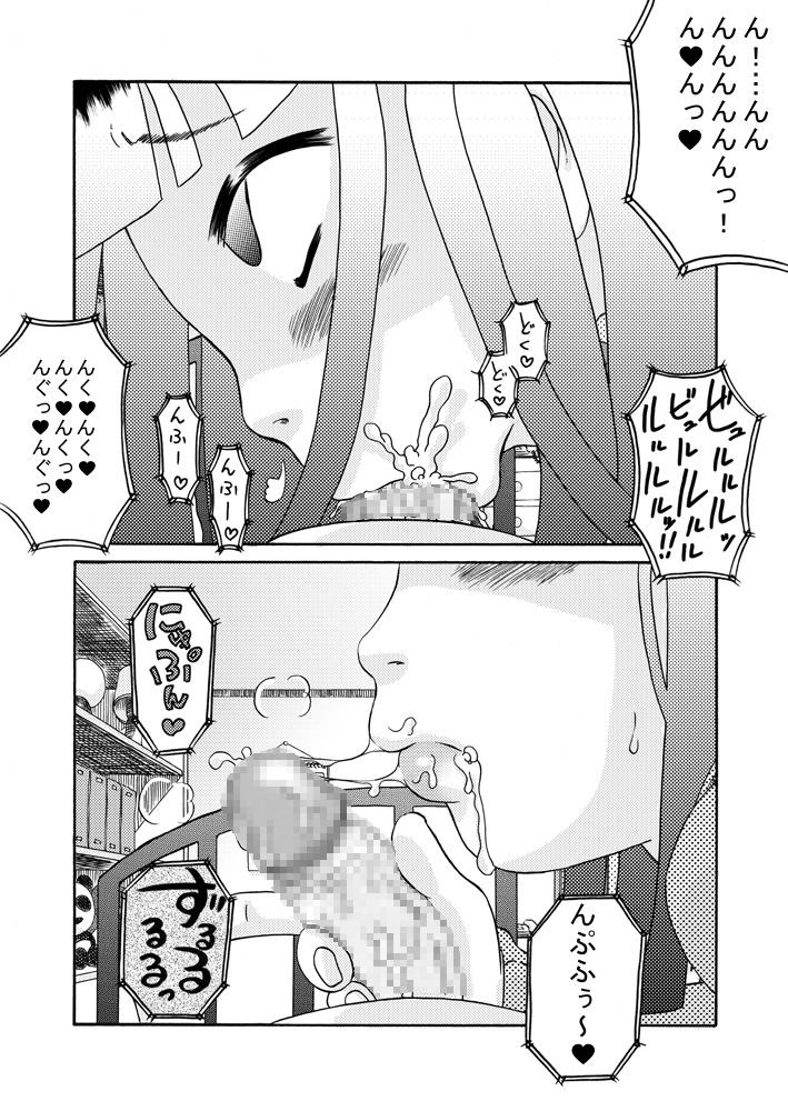 Misekko Seiekikko page 11 full