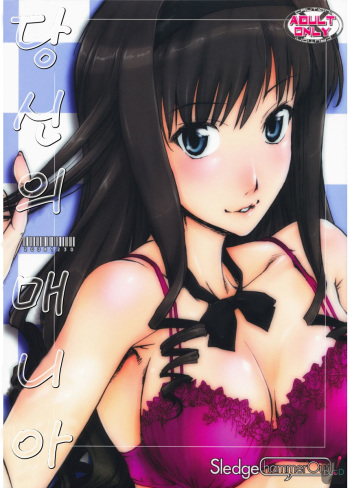 (C75) [SledgehammerOut! (Yoshijima Ataru)] Kimi no Mania (Amagami) (korean) cover