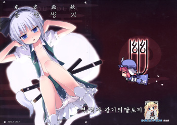 (C73) [Kazemichiya (Mamo Williams)] Touhou Houka (Touhou Project) [Korean] cover