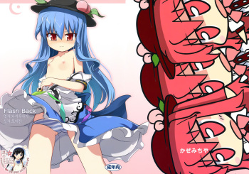 (C76) [Kazemichiya (Mamo Williams)] Flash Back (Touhou Project) [Korean] [팀 면갤] cover