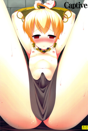 (C82) [C://A.D.D/ (Kiriyama Machi)] Ryoshuu | Captive (Final Fantasy Tactics) [English] =Short Wharf= cover