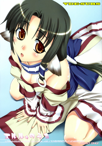 (CT9) [KABAYAKIYA (Unagimaru)] Eruru no Uta (Utawarerumono) [German] [VDE-Subs] [Decensored] cover
