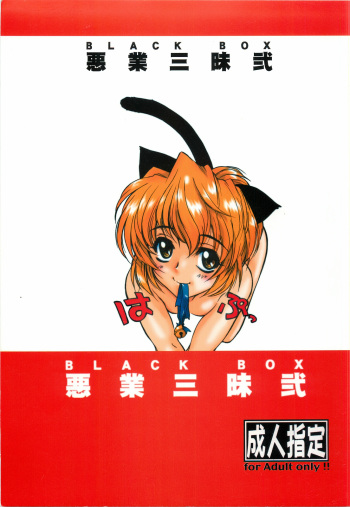 (C63) [Dennou Denpa Hatsureisho (Harukaze Koucha)] BLACK BOX Akugyou Zanmai Ni (Various) cover