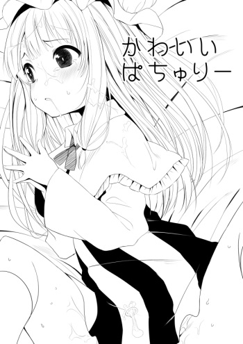 [Pokachu] 例大祭新刊 (Touhou Project) cover