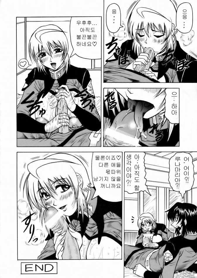 LUNA STLIKE Prototype page 11 full