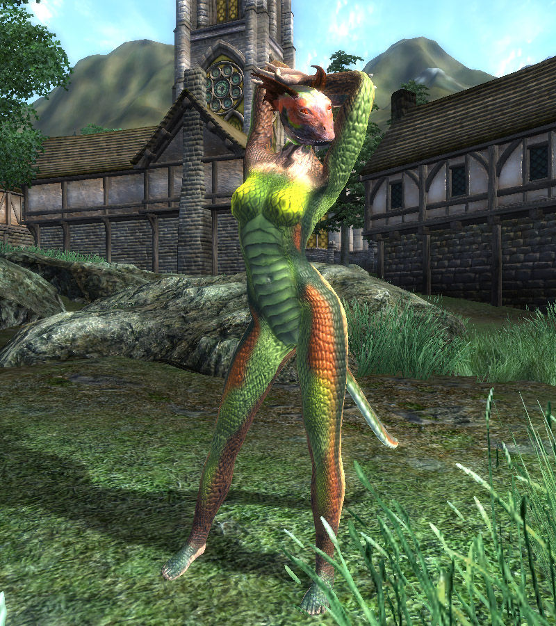 The Elder Scrolls: Argonian page 12 full