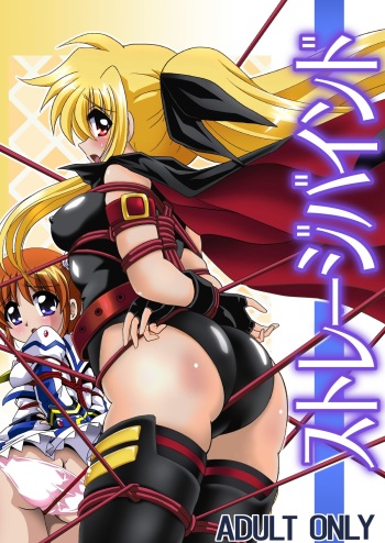 [Third Saver Street (Sawara Kazumitsu, Yonige-ya no Kyou)] Storage Bind (Mahou Shoujo Lyrical Nanoha) [Digital] cover