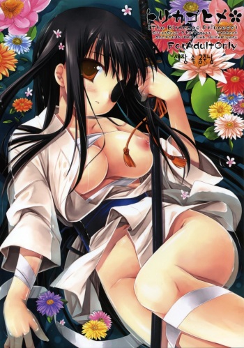 (SC36) [D.N.A.Lab. (Miyasu Risa)] Torikagohime The Birdcage Princess (Gintama) [Korean] cover