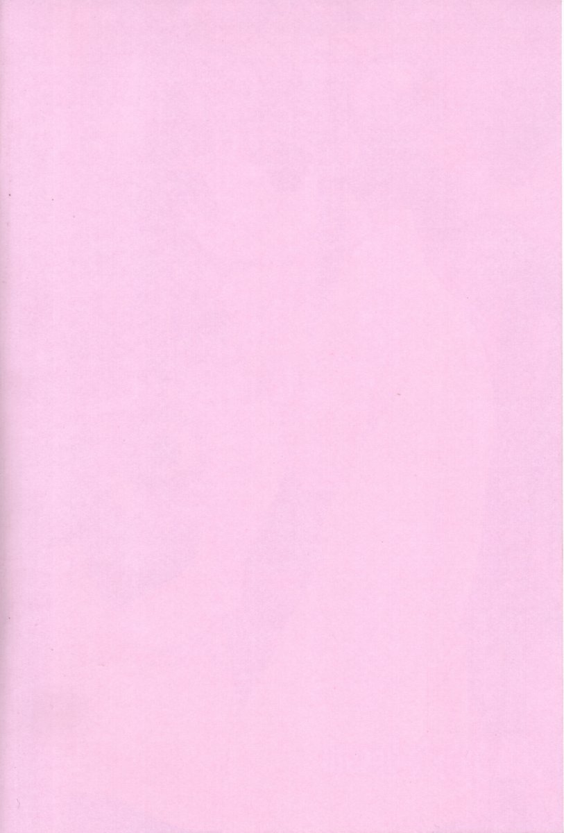 pink babys breath page 2 full