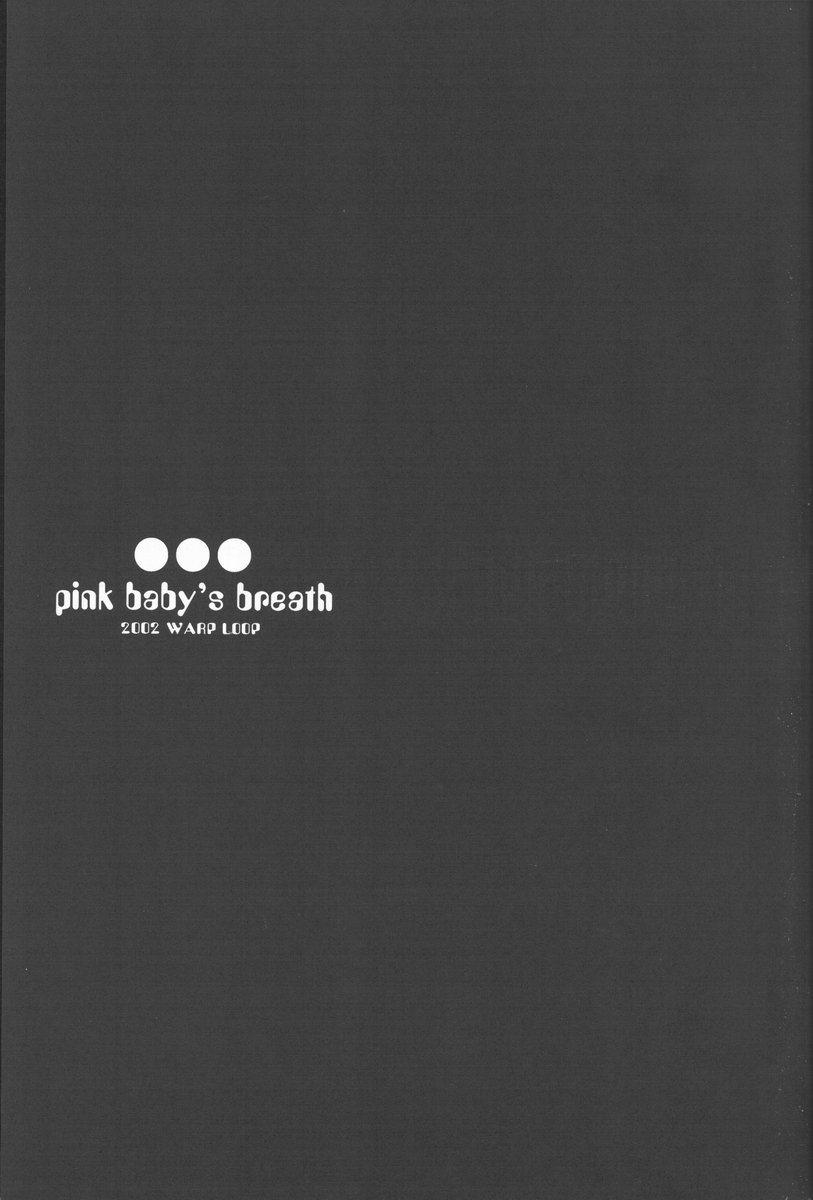 pink babys breath page 3 full