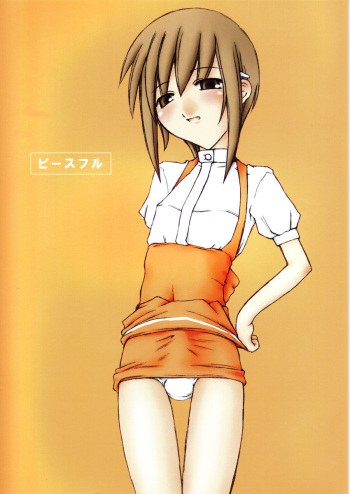 (C63) [Sasaduka (Riuichi)] Peaceful cover