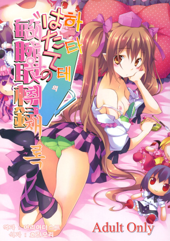 (C80) [Houenken (Inase Shinya)] Hatate no Binwan Shuzairoku (Touhou Project) [Korean] [Team Arcana] cover