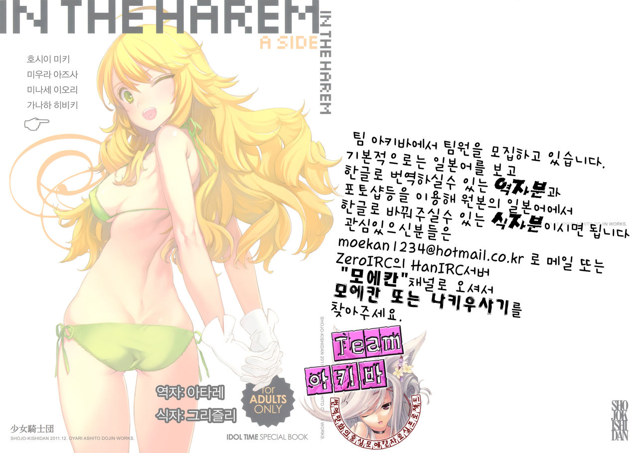 IN THE HAREM A SIDE page 12 full