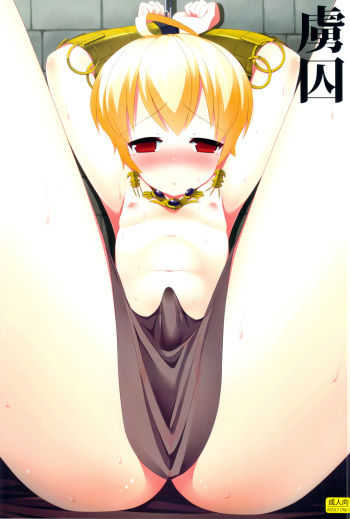 (C82) [C://A.D.D/ (Kiriyama Machi)] Ryoshuu (Final Fantasy Tactics) cover