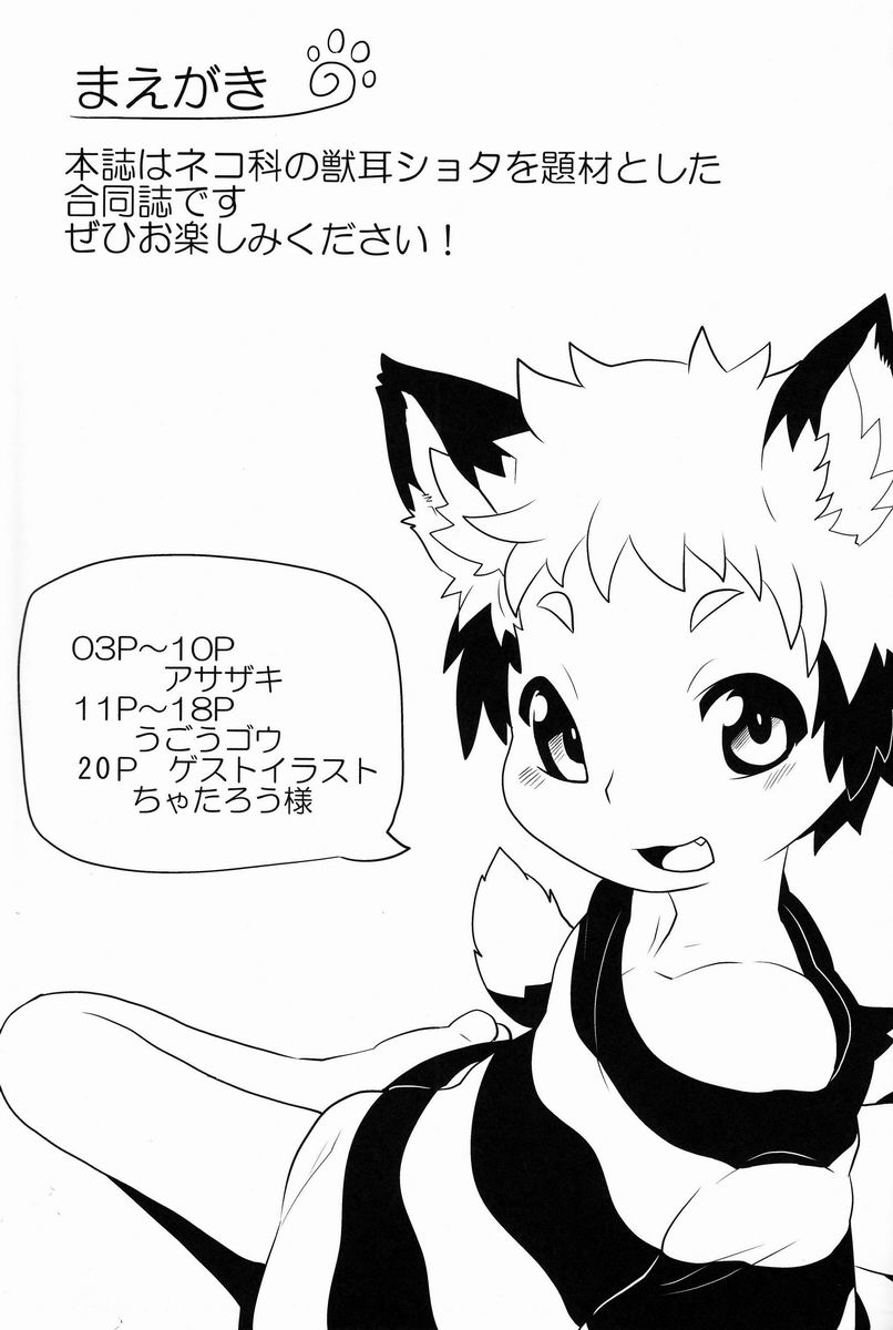 NyanFes page 2 full