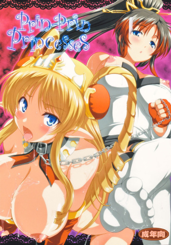 (C78) [AN-ARC] PRIN-PRIN PRINCESSES cover
