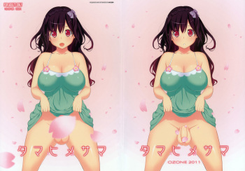 (Futaket 7) [OZONE (Marumiya)] Tamahime-sama cover