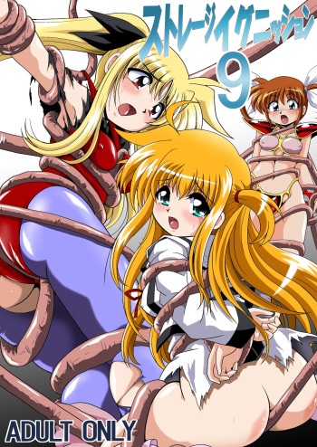 [Thirty Saver Street 2D Shooting (Maki Hideto)] Storage Ignition 9 (Mahou Shoujo Lyrical Nanoha) [Digital] cover