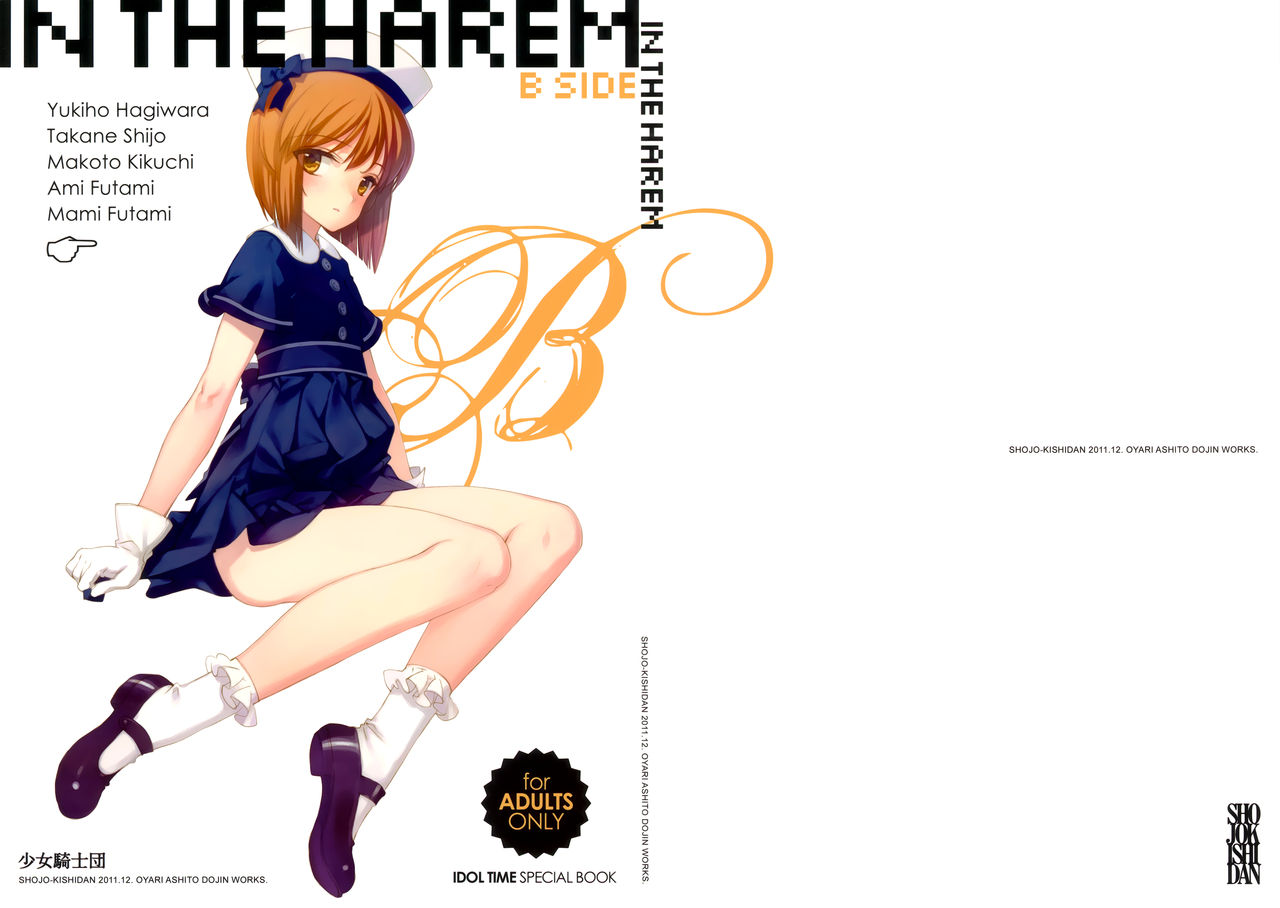 IN THE HAREM B SIDE | En el Harem - Parte B page 1 full
