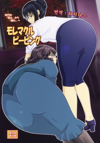 (C73) [Nozarashi (Nozarashi Satoru)] Moremakuru Peeping (Gundam 00) [Korean] cover