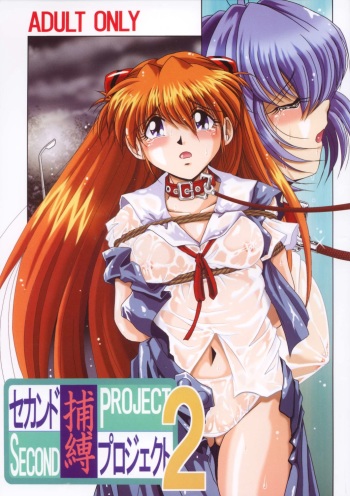 [Thirty Saver Street 2D Shooting (Maki Hideto, Sawara Kazumitsu)] Second Hobaku Project 2 (Neon Genesis Evangelion) [Digital] cover
