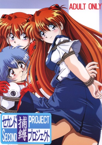 (CR36) [Thirty Saver Street 2D Shooting (Maki Hideto, Sawara Kazumitsu)] Second Hobaku Project (Neon Genesis Evangelion) [Digital] cover