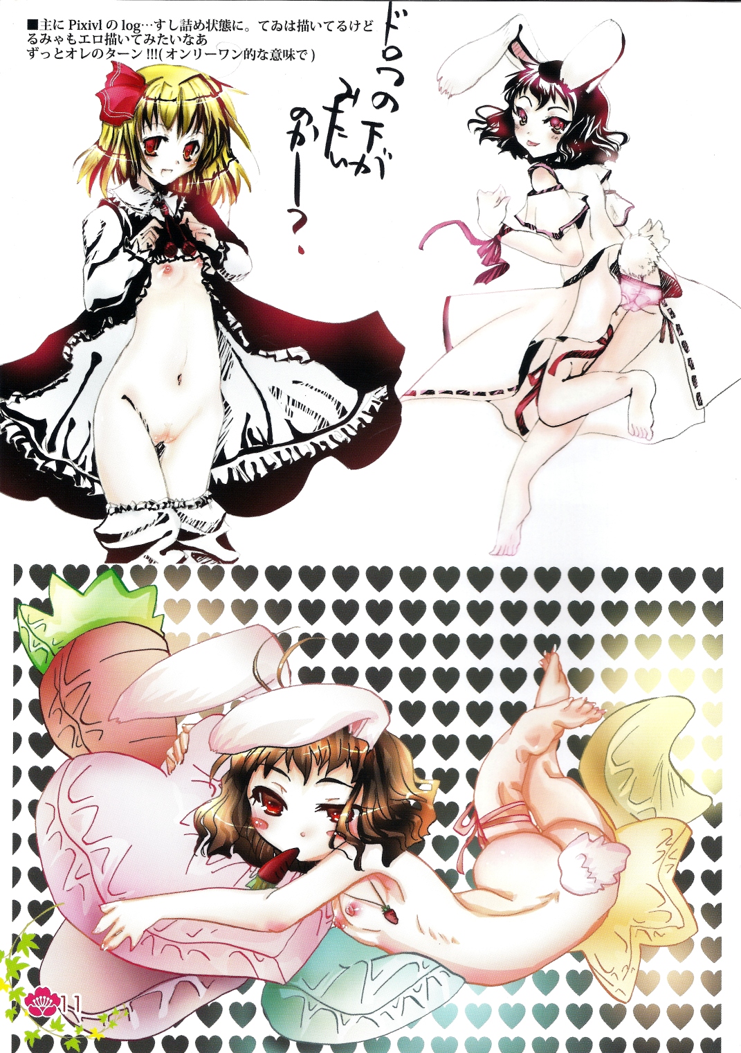 Touhou log page 11 full