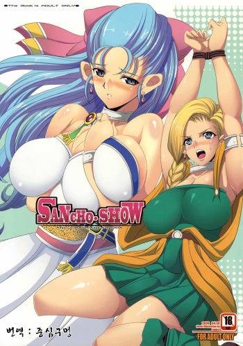 (COMIC1☆3) [Youkai Tamanokoshi (CHIRO)] SANCHO SHOW (Dragon Quest V) [Korean] [중심구멍] cover