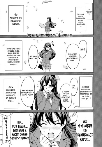[Takeda Hiromitsu] Zettai! Zettai!! Ojou-sama | ¡Absolutamente! ¡¡Absolutamente!! Una Ojou-sama (COMIC Megastore 2009-09) [Spanish] =P666HF= [Decensored] cover