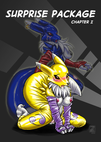 [S'Nina Sirius (S0lar1x)] Surprise Package (Digimon) cover