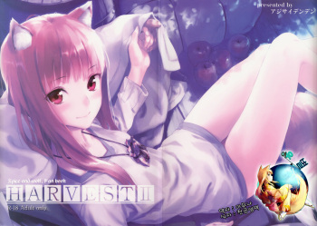 (C83) [Ajisaidenden (Kawakami Rokkaku, Takanashi Rei)] Harvest II (Spice and Wolf) [Korean] [여우별] cover