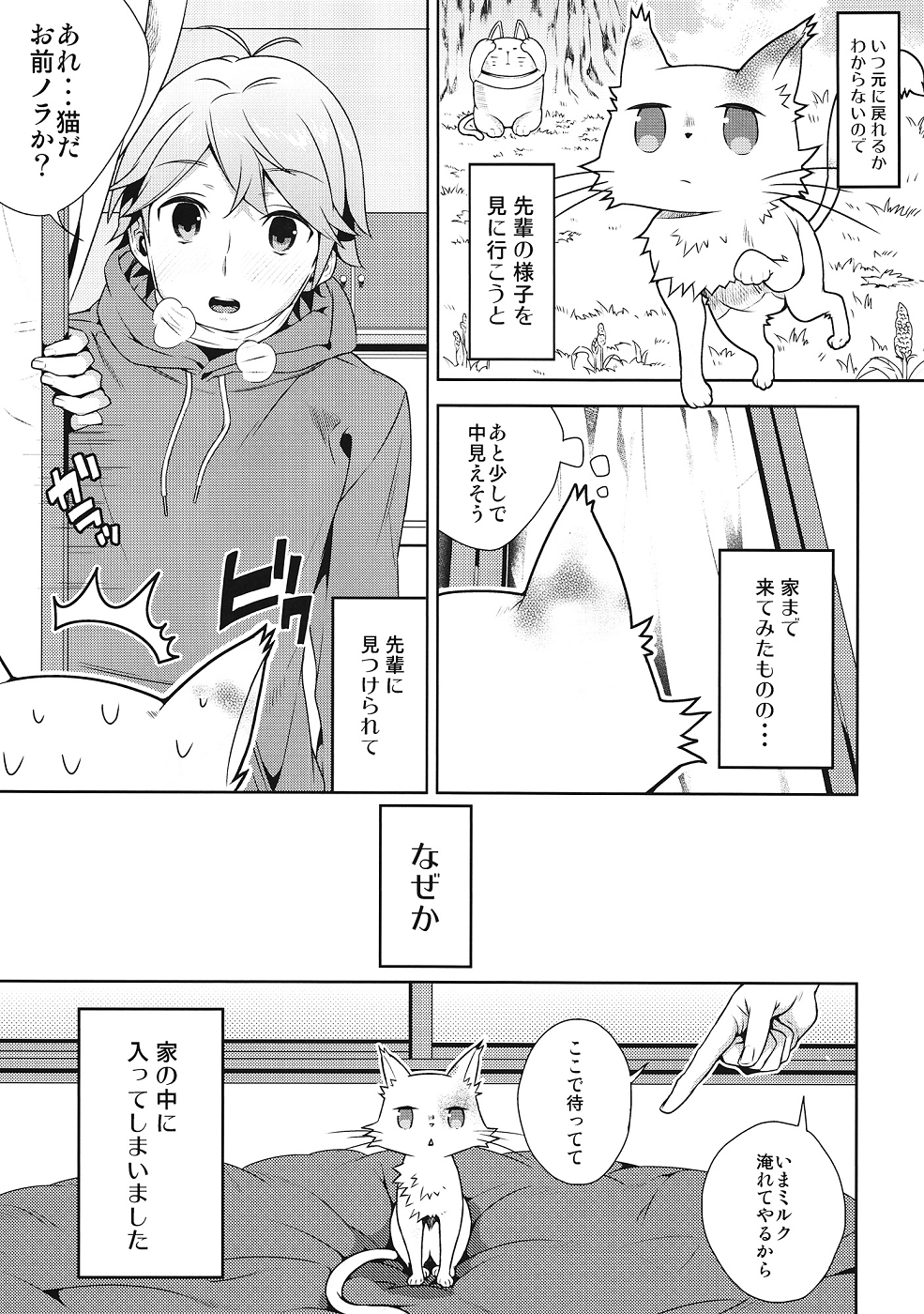 Hentai Ouji ni Okasareta Neko. page 4 full