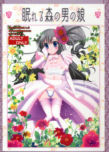(C78) [chocolateLv.5 (Dynamite moca)] Nemureru Mori no Otoko no Ko (español) [Fanboo] cover