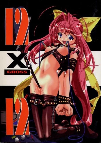 (C55) [ANARCHY SOX (Emori Misaki)] 12x12 GROSS (Various) cover