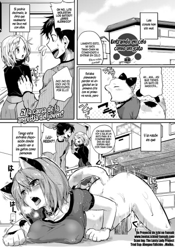 [Doumou] Nyanko na Hatsujouki | Entrando en celo como un gato (COMIC Unreal 2013-02 Vol. 41) [Spanish] [InF] cover
