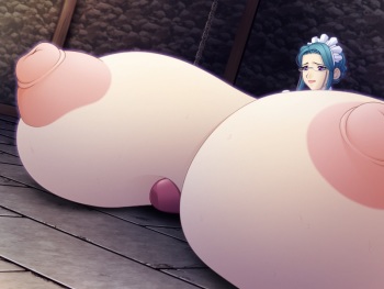 HUGE TITS COLLECTION 6 cover